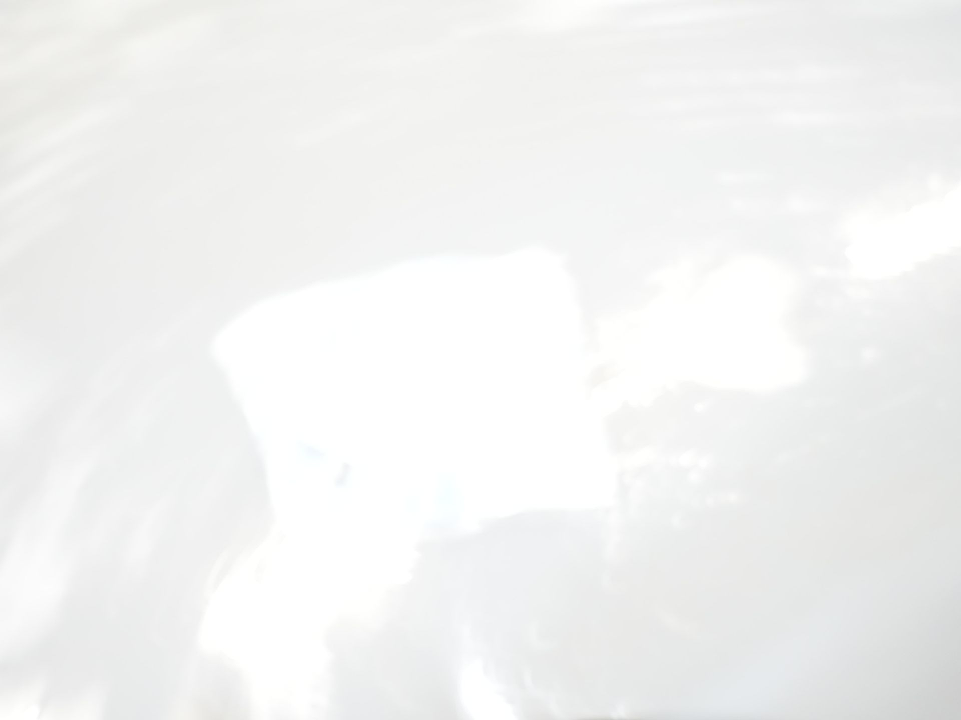 Ford E-Transit Custom Bestelbus Trend 65 kWh 330 km WLTP Garantie t/m 2029/ LED/ Standkachel/ Snellader/ 2.3t Trekverm./ Stuurverw./ Stoelverw./ Carplay/ Camera