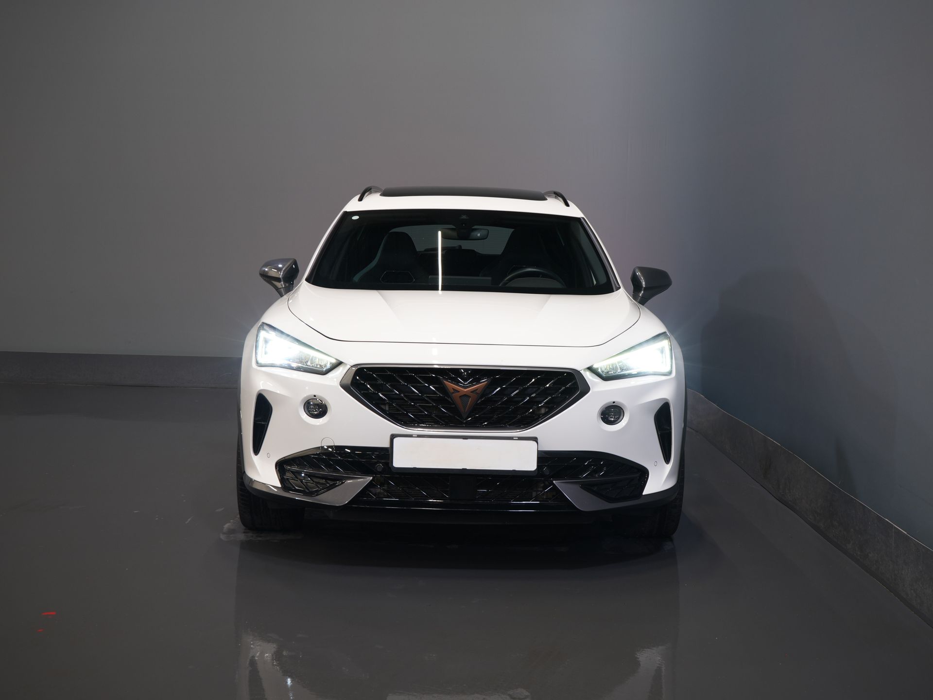 CUPRA Formentor SUV 1.4 e-Hybrid 245 pk VZ Performance Matrix/ Pano/ Adapt.Cruise/ Elek.Trekhaak/ Mem.Stoel/ Leder/ Navi/ Stoelverw./ Stuurverw./ Cl