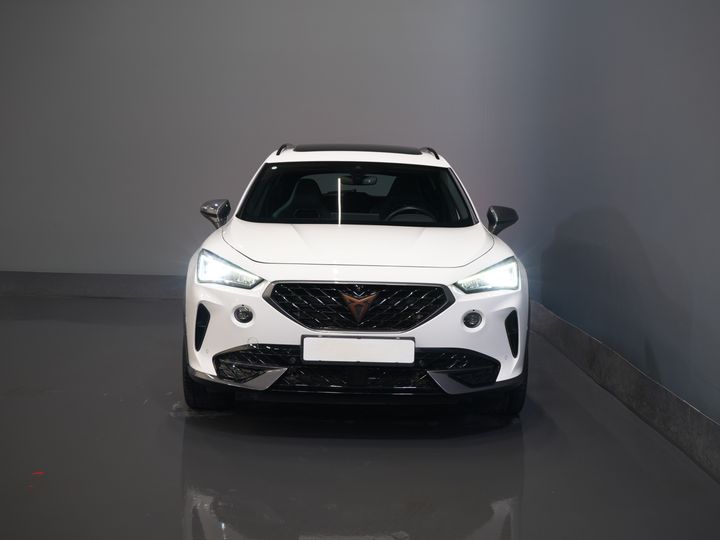 CUPRA Formentor SUV 1.4 e-Hybrid 245 pk VZ Performance Matrix/ Pano/ Adapt.Cruise/ Elek.Trekhaak/ Mem.Stoel/ Leder/ Navi/ Stoelverw./ Stuurverw./ Cl