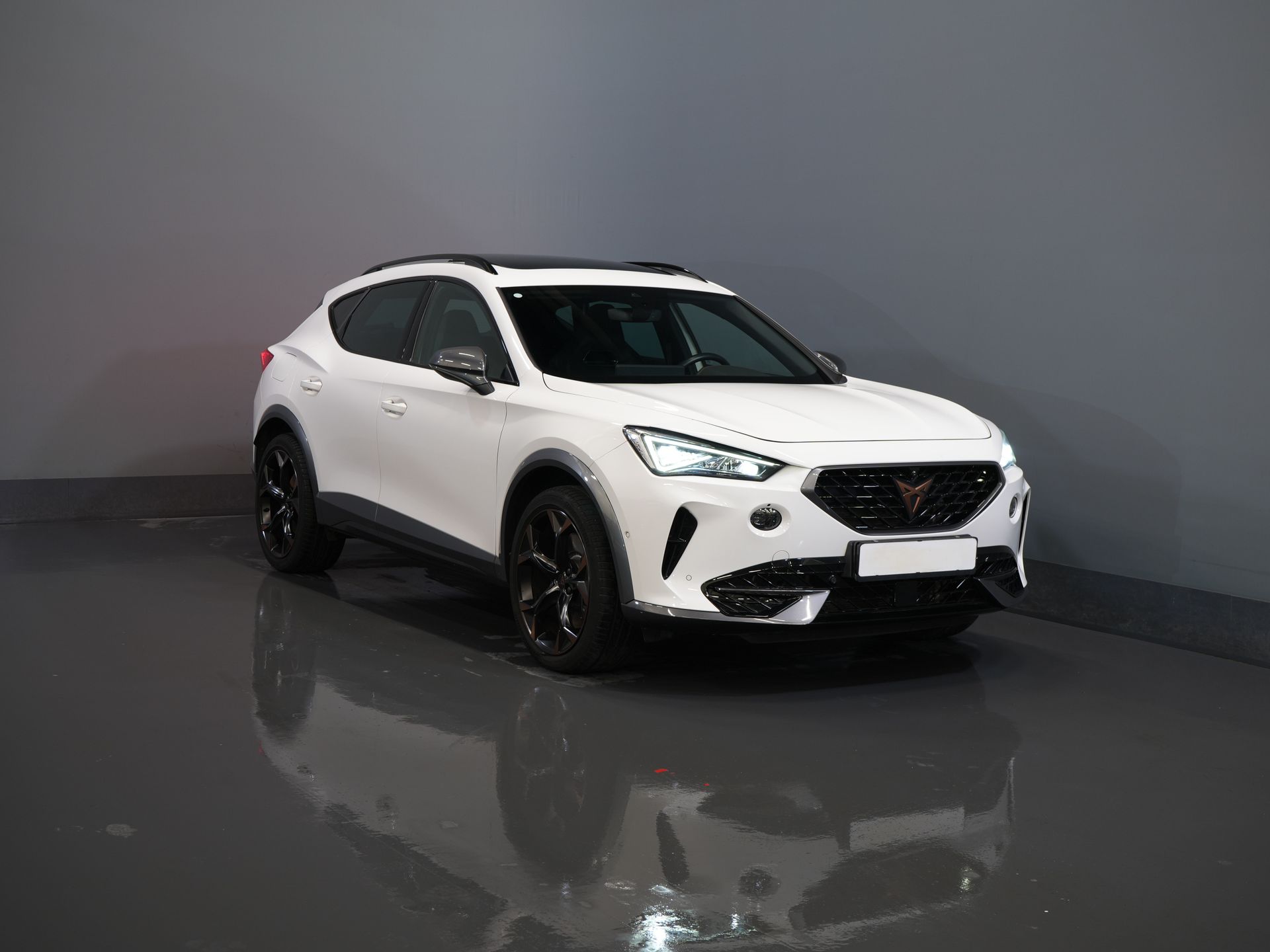 CUPRA Formentor SUV 1.4 e-Hybrid 245 pk VZ Performance Matrix/ Pano/ Adapt.Cruise/ Elek.Trekhaak/ Mem.Stoel/ Leder/ Navi/ Stoelverw./ Stuurverw./ Cl