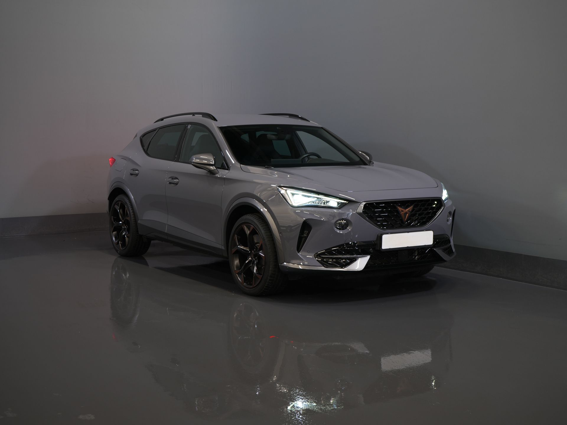 CUPRA Formentor SUV 1.4 e-Hybrid VZ 245 CV Copper LED Matrix/ Adapt.Cruise/ Elek. Klep/ Memory/ 19'' LMV/ Carplay