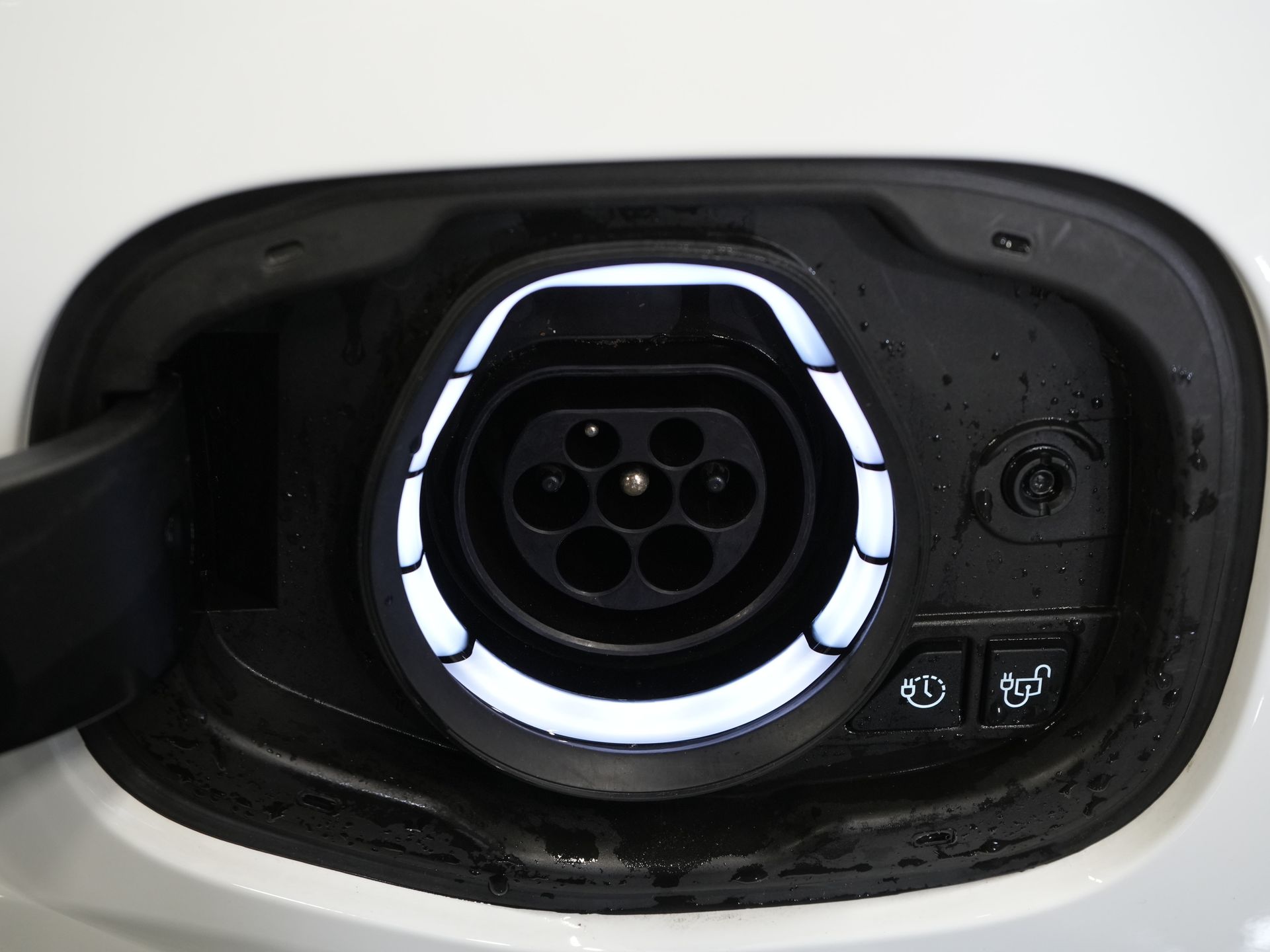 Ford Kuga SUV 2.5 PHEV 225 CV Titanium Navi/ Carplay/ Sedili riscaldati/ Volante riscaldato/ Telecamera/ PDC/ Climatizzatore