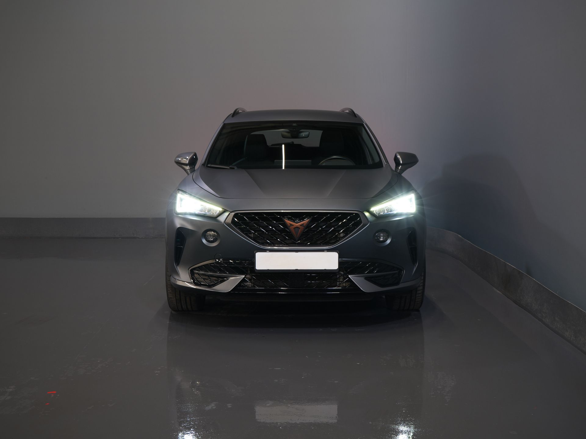 CUPRA Formentor SUV 1.4 TSI e-Hybrid PHEV LED/ Adapt. Cruise/ 19