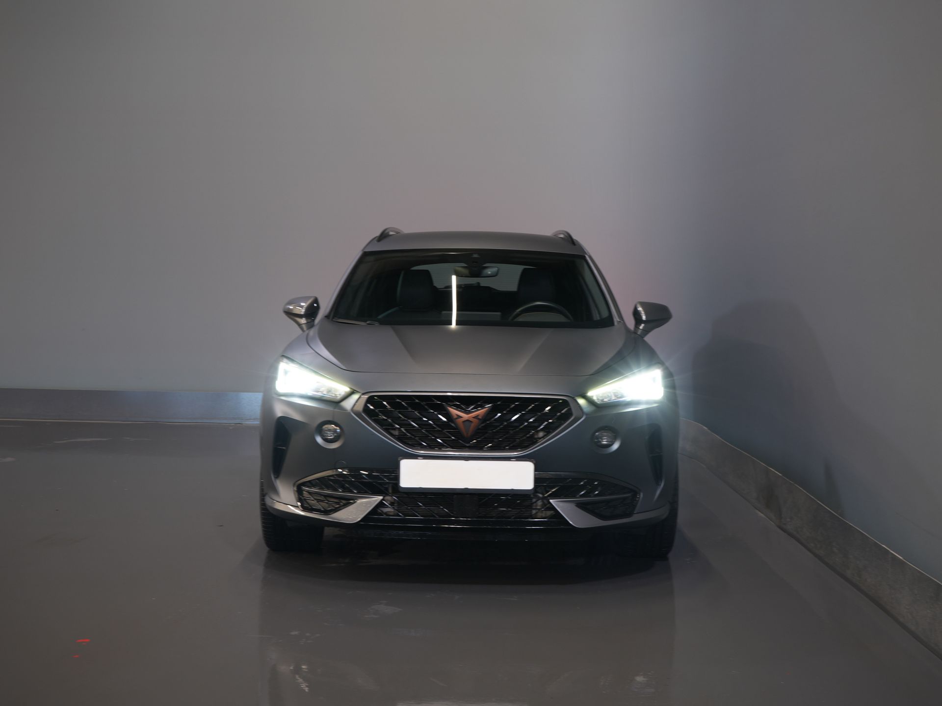 CUPRA Formentor SUV 1.4 TSI e-Hybrid LED/ Adaptive Cruise Control/ 19
