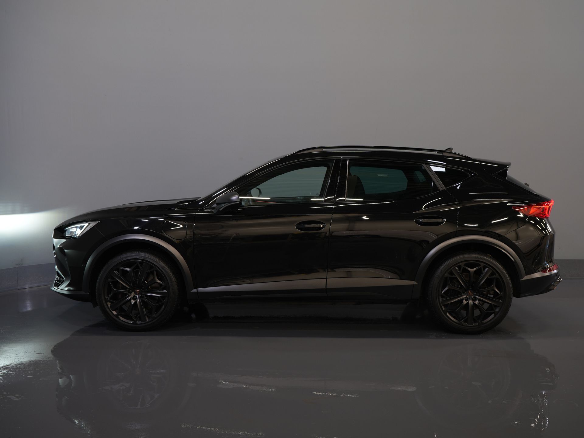 CUPRA Formentor SUV 1.4 e-Hybrid VZ 245 pk Tribe Edition Pano/ Matrix/ Adapt.Cruise/ Elek. Klep/ Memory/ 19'' LMV/ Carplay/ Standkachel/ Stuurverw./
