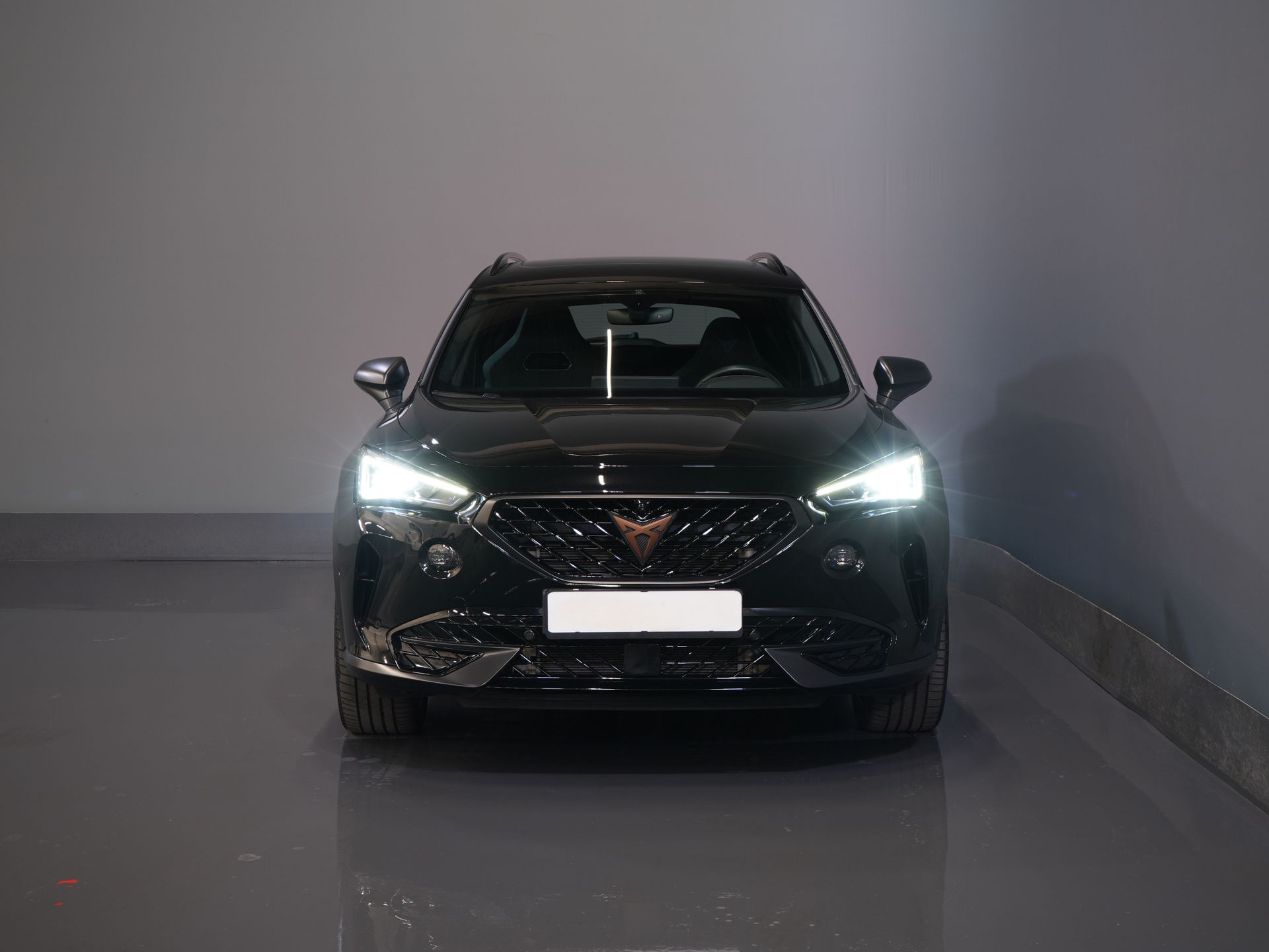 CUPRA Formentor SUV 1.4 e-Hybrid VZ 245 pk Tribe Edition Pano/ Matrix/ Adapt.Cruise/ Elek. Klep/ Memory/ 19'' LMV/ Carplay/ Standkachel/ Stuurverw./