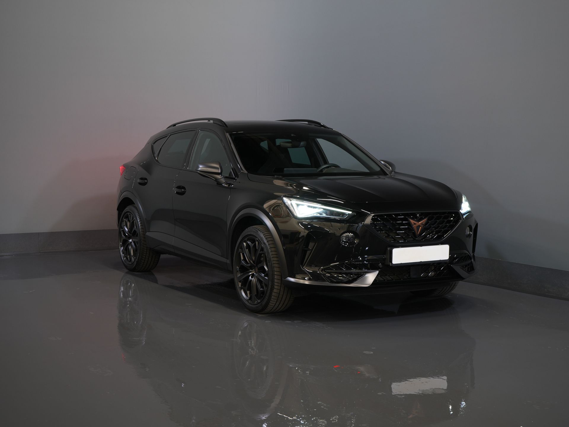 CUPRA Formentor SUV 1.4 e-Hybrid VZ 245 pk Tribe Edition Pano/ Matrix/ Adapt.Cruise/ Elek. Klep/ Memory/ 19'' LMV/ Carplay/ Standkachel/ Stuurverw./